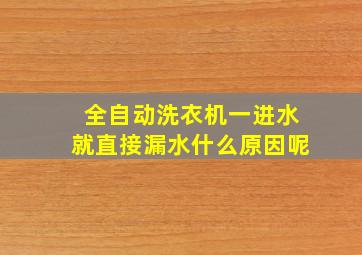 全自动洗衣机一进水就直接漏水什么原因呢