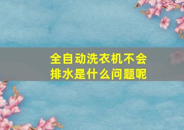 全自动洗衣机不会排水是什么问题呢