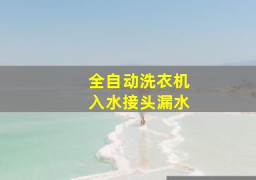 全自动洗衣机入水接头漏水