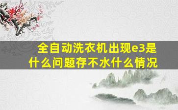 全自动洗衣机出现e3是什么问题存不水什么情况