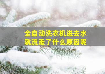 全自动洗衣机进去水就流走了什么原因呢