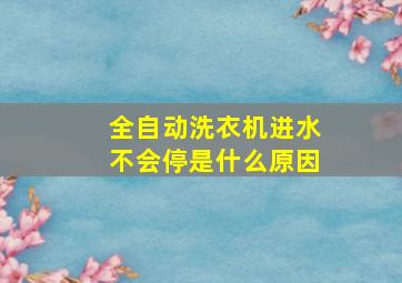 全自动洗衣机进水不会停是什么原因