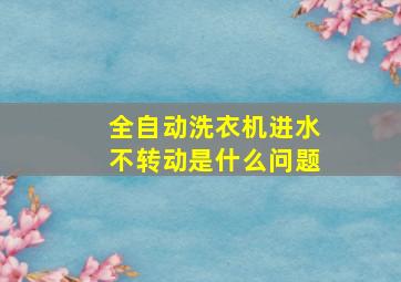 全自动洗衣机进水不转动是什么问题