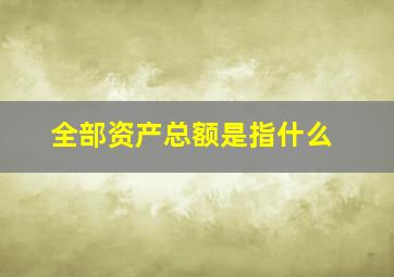 全部资产总额是指什么