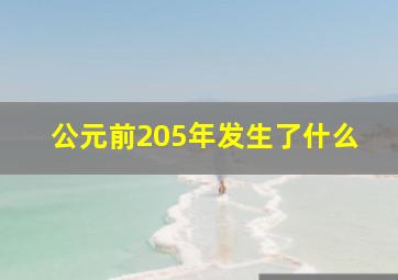 公元前205年发生了什么