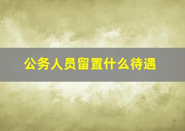 公务人员留置什么待遇