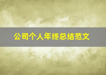 公司个人年终总结范文