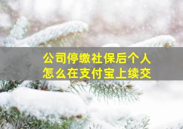 公司停缴社保后个人怎么在支付宝上续交