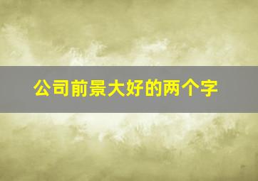 公司前景大好的两个字