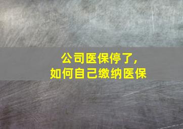 公司医保停了,如何自己缴纳医保