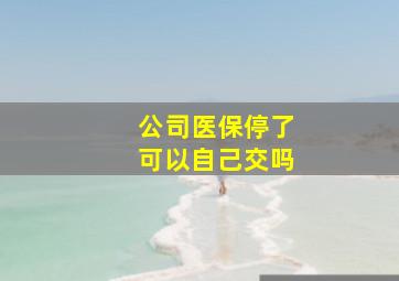 公司医保停了可以自己交吗