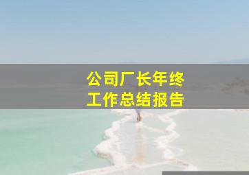 公司厂长年终工作总结报告