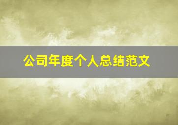 公司年度个人总结范文