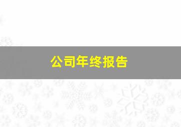 公司年终报告