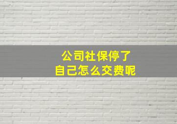 公司社保停了自己怎么交费呢