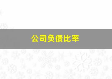 公司负债比率