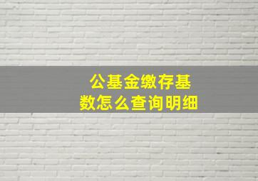 公基金缴存基数怎么查询明细