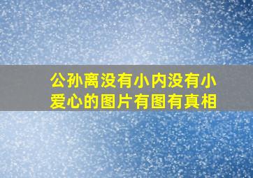 公孙离没有小内没有小爱心的图片有图有真相