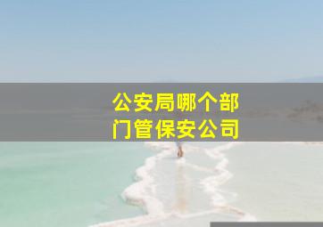 公安局哪个部门管保安公司