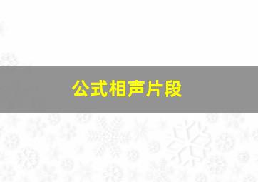 公式相声片段