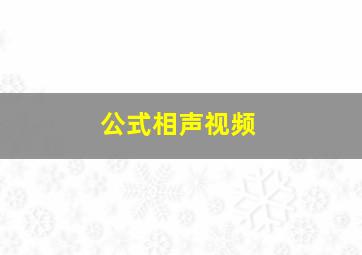 公式相声视频