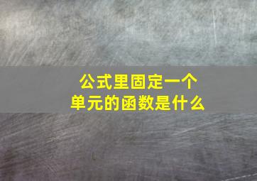 公式里固定一个单元的函数是什么