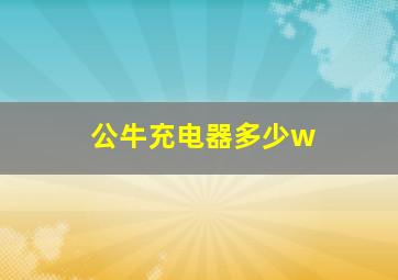 公牛充电器多少w