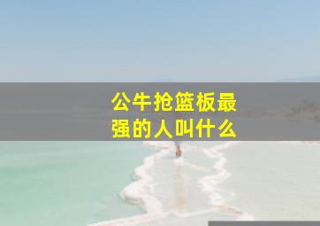 公牛抢篮板最强的人叫什么