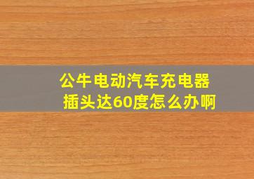 公牛电动汽车充电器插头达60度怎么办啊