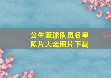 公牛篮球队员名单照片大全图片下载