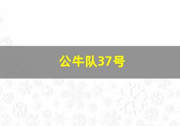 公牛队37号