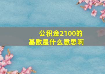 公积金2100的基数是什么意思啊