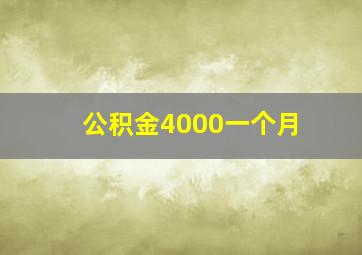 公积金4000一个月