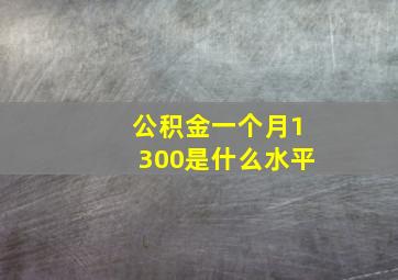 公积金一个月1300是什么水平