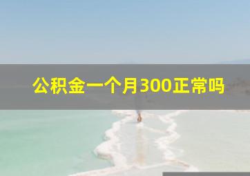 公积金一个月300正常吗