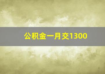 公积金一月交1300