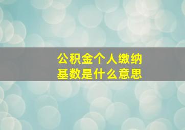 公积金个人缴纳基数是什么意思