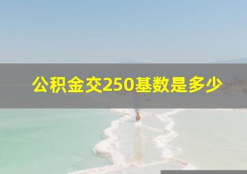 公积金交250基数是多少