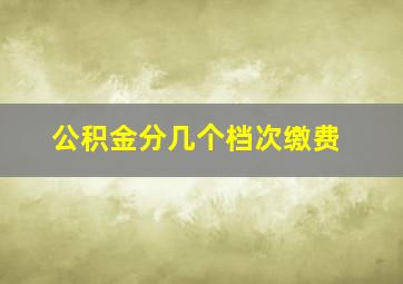 公积金分几个档次缴费