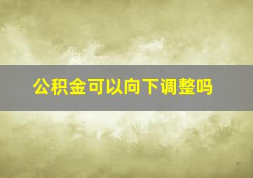 公积金可以向下调整吗