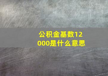 公积金基数12000是什么意思