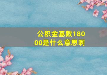 公积金基数18000是什么意思啊