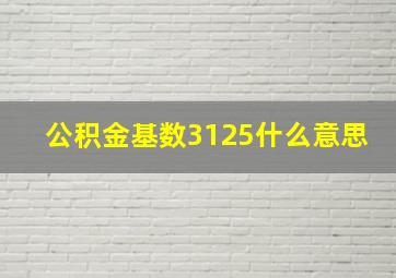 公积金基数3125什么意思