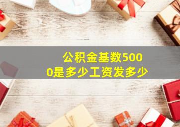 公积金基数5000是多少工资发多少