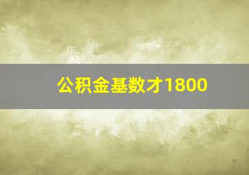 公积金基数才1800