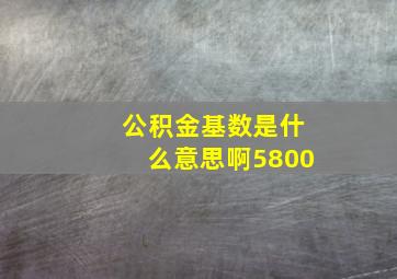 公积金基数是什么意思啊5800