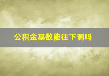 公积金基数能往下调吗