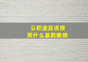 公积金应该按照什么基数缴纳