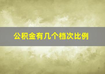 公积金有几个档次比例