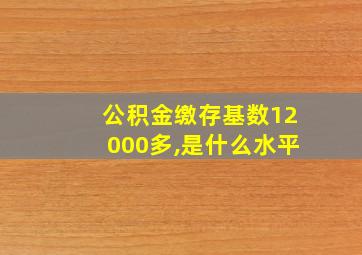 公积金缴存基数12000多,是什么水平